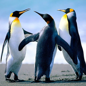 Meet your Posher, Hinda